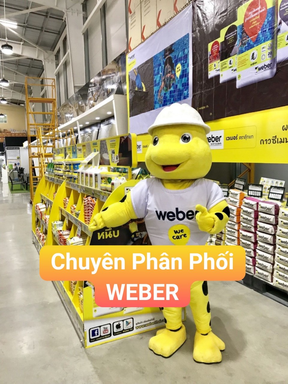 webertai 2 in 1: Keo dán gạch hỗ trợ CHỐNG THẤM và chuyên dán GẠCH CHỒNG GẠCH