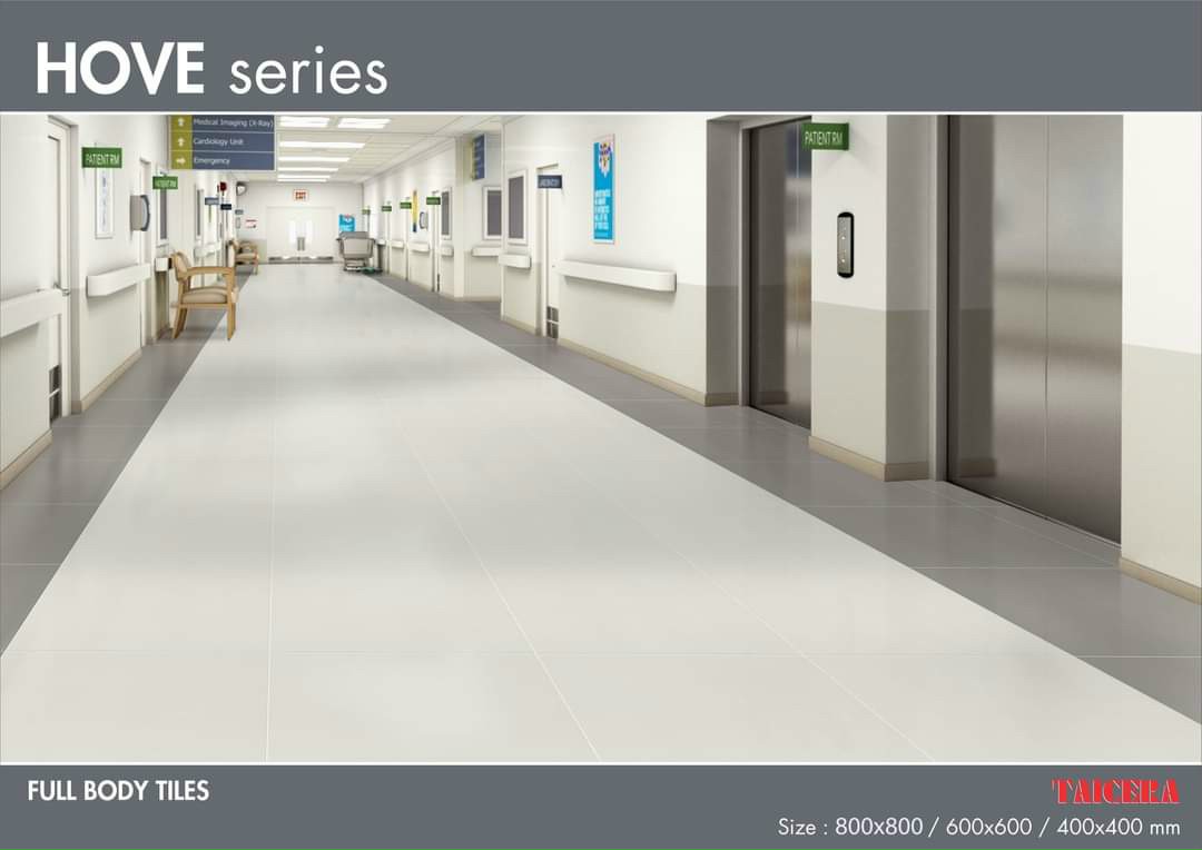 GẠCH TAICERA 80X80 G88034 mờ