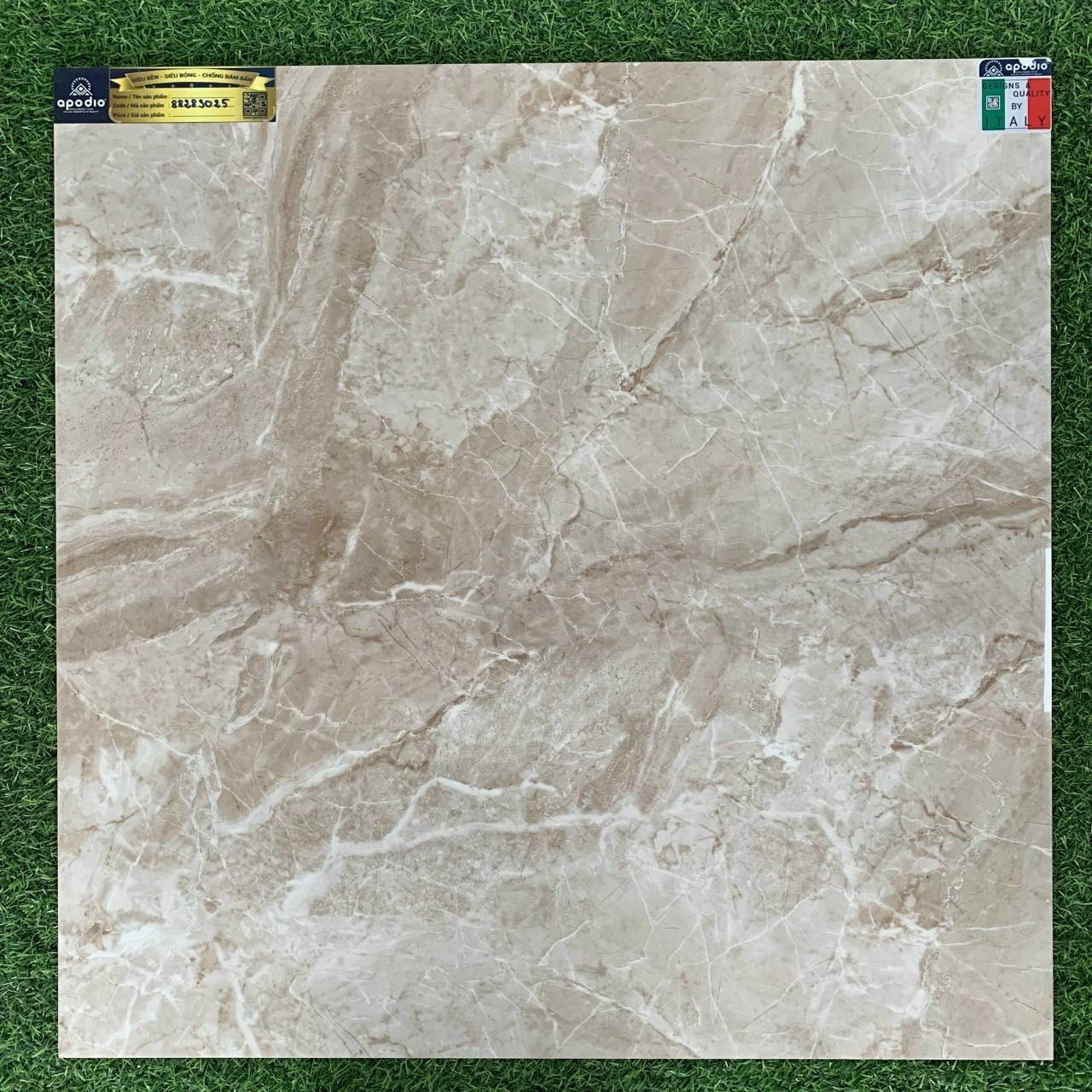 Gạch Apodio 80x80 88283025
